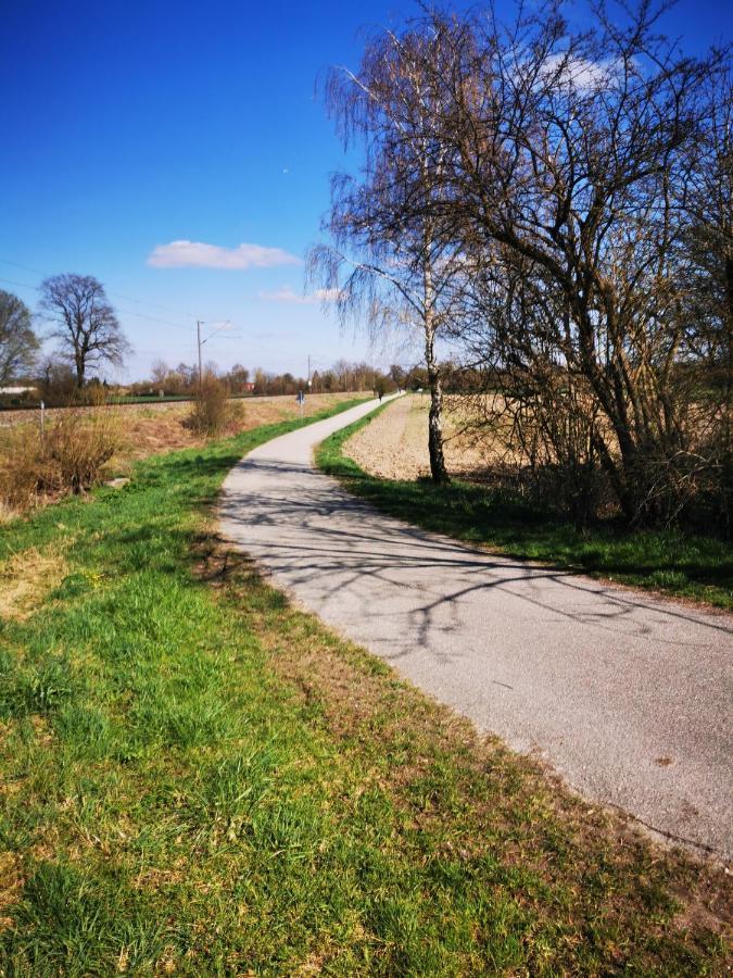 Ferienwohnung Hertreiter In Dingolfing 110Qm Buitenkant foto